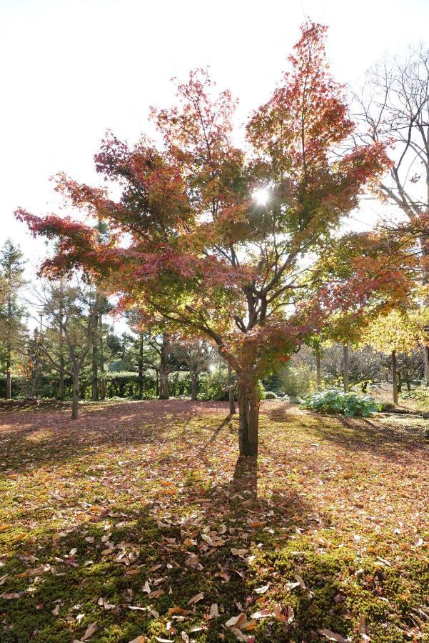 Japaning Senkyu Villa Kyoto Ngoại thất bức ảnh